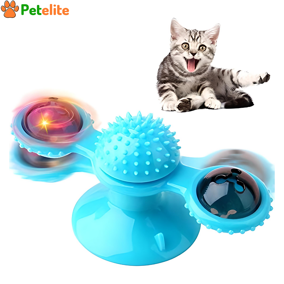 Rotatable Interactive Toy with Suction Cup Brush for Cleaning&Scratching  Teeth