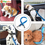 縮圖：Buckle Adjustable Nylon & Safety Buckle Car Seat Belt for Pets in Car Travel