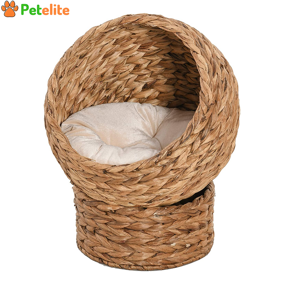 Woven Banana Leaf Elevated Wicker Cat Bed, Cozy Wicker Cave with Cushion Dome