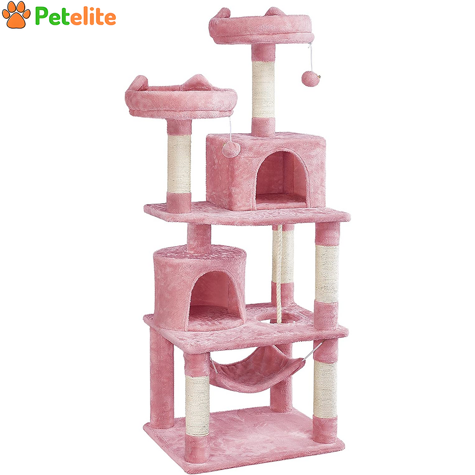 Cat Tree,Large Kitten Activity Centre with Condos and Hammock for Indoor Cats