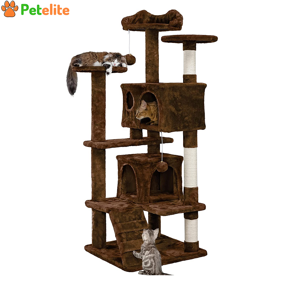 Cat Tree Scratching Posts Cat Tower Activity Centre,House with Ladder for Cats