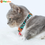 Thumbnail: Pack of 2 Cat Collars,Adjustable Breakaway Cat Collar with Bell,Neck 23cm-33cm