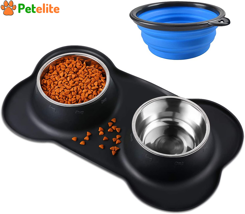 Non-Slip Foldable Silicone Mat, 2 X 400ML Stainless Steel Dog and Cat Bowls