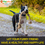 Indexkép: Dog Rope Toys for Large/Medium Aggressive Chewers, Tough Rope Chew Toy
