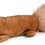 Indexkép: Furry Sticks - Chipmunk/Raccoon/Squirrel Small Dog/Puppy Toys