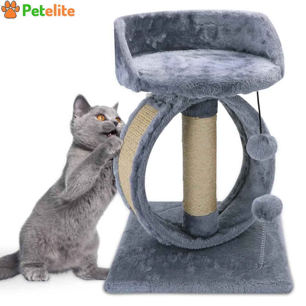 48cm Cat Trees|Cat Scratching Post for Indoor Cats Kitten|Pet Cat Activity Centr