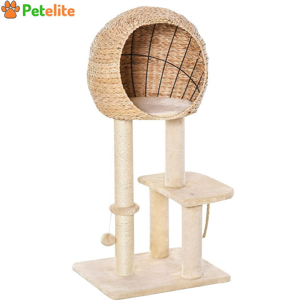 100cm Kitten Climbing Tower Activity Center with Sisal Scratching Post,Cat Tree