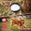 Miniature : Dog Chew Ball Toy 7cm Durable Rubber Spiky Ball for Aggressive Chewers Floatable