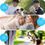 Прев'ю: Anti Bark Collar Stop Dog Barking Sound Vibration S/M/L Adjustable Rechargeable
