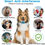 Прев'ю: Anti Bark Collar Stop Dog Barking Sound Vibration S/M/L Adjustable Rechargeable