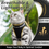 Прев'ю: Adjustable Soft Cat Harness & Lead Set for Walking,Reflective Strip Escape Proof