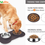 Miniaturbild: 3-In-1 Slow Eating Dog Bowls with Non Slip Mat - BPA Free Slow Feeders