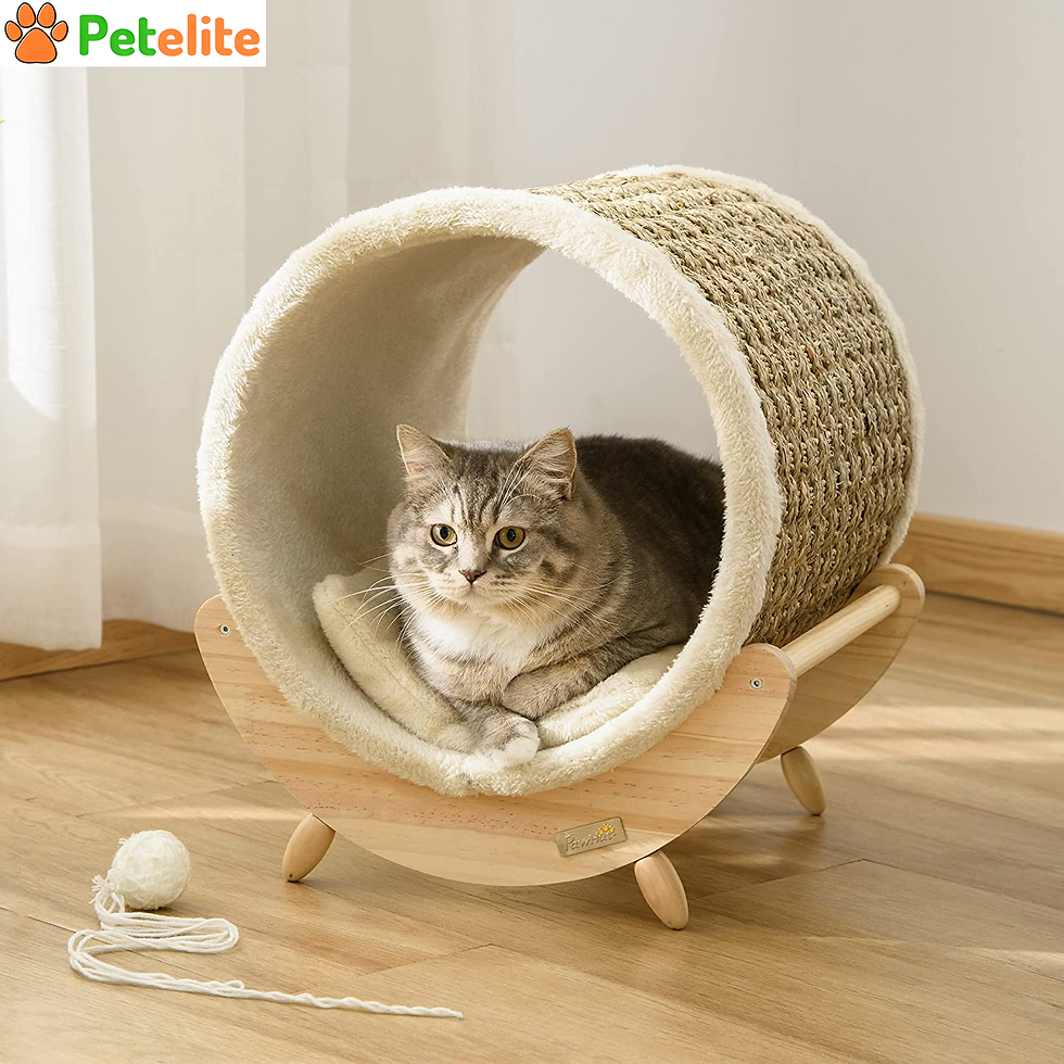 Raised Cat House Kitten Bed Pet Shelter Wrapped with Scratcher Soft CushionRaised Cat House Kitten Bed Pet Shelter Wrapped wi