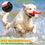Miniatura: Harmless Anti Barking Dog Collars,Rechargeable Waterproof Vibration & Sound