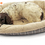 Miniatura: Deluxe Orthopaedic Fleece Lining Soft Dog Bed