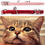 Miniature : 2 PCS Lovely Kitten Collar, Cat Collar with Bell and Adjustable Elastic Strap