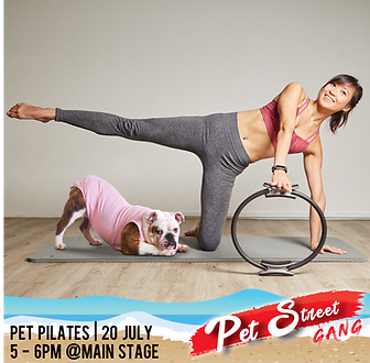 Pet Pilates IG post.png