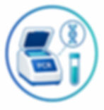 PCR (Polymerase Chain Reaction).png