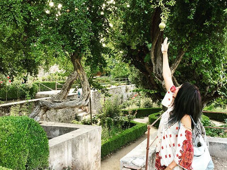 Embracing Change: The Start of the New