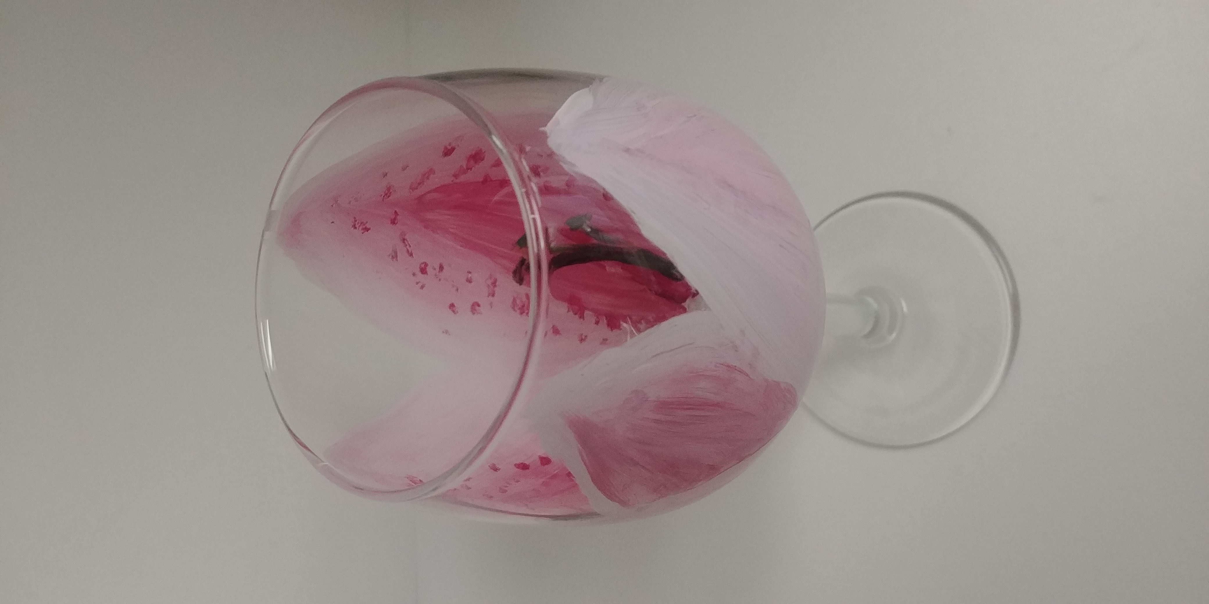 20190217_122222