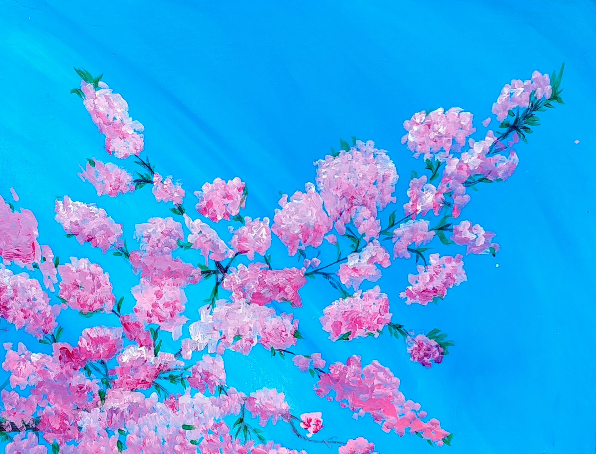 Blossoms