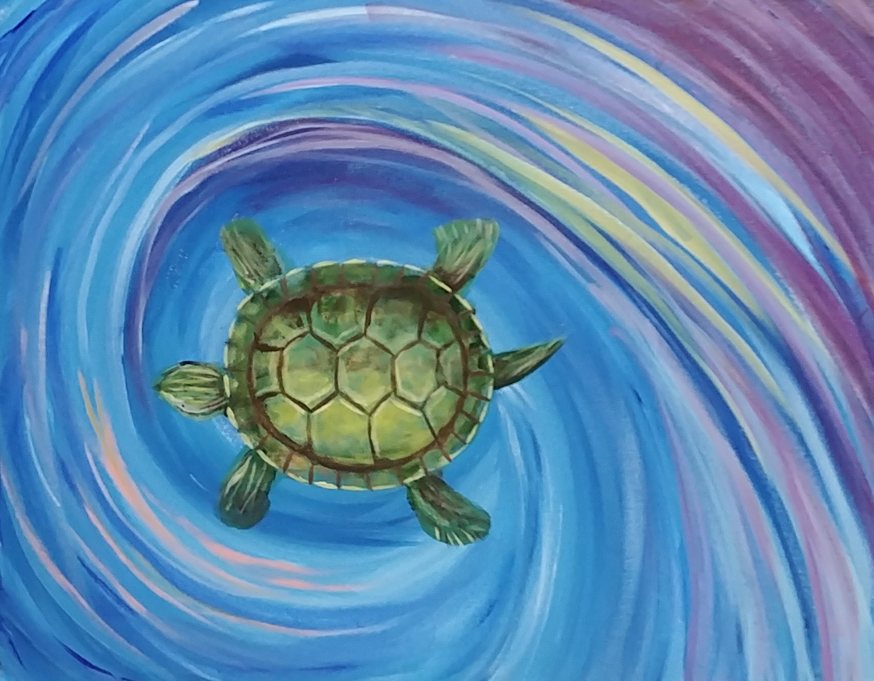 Twisted Turtle