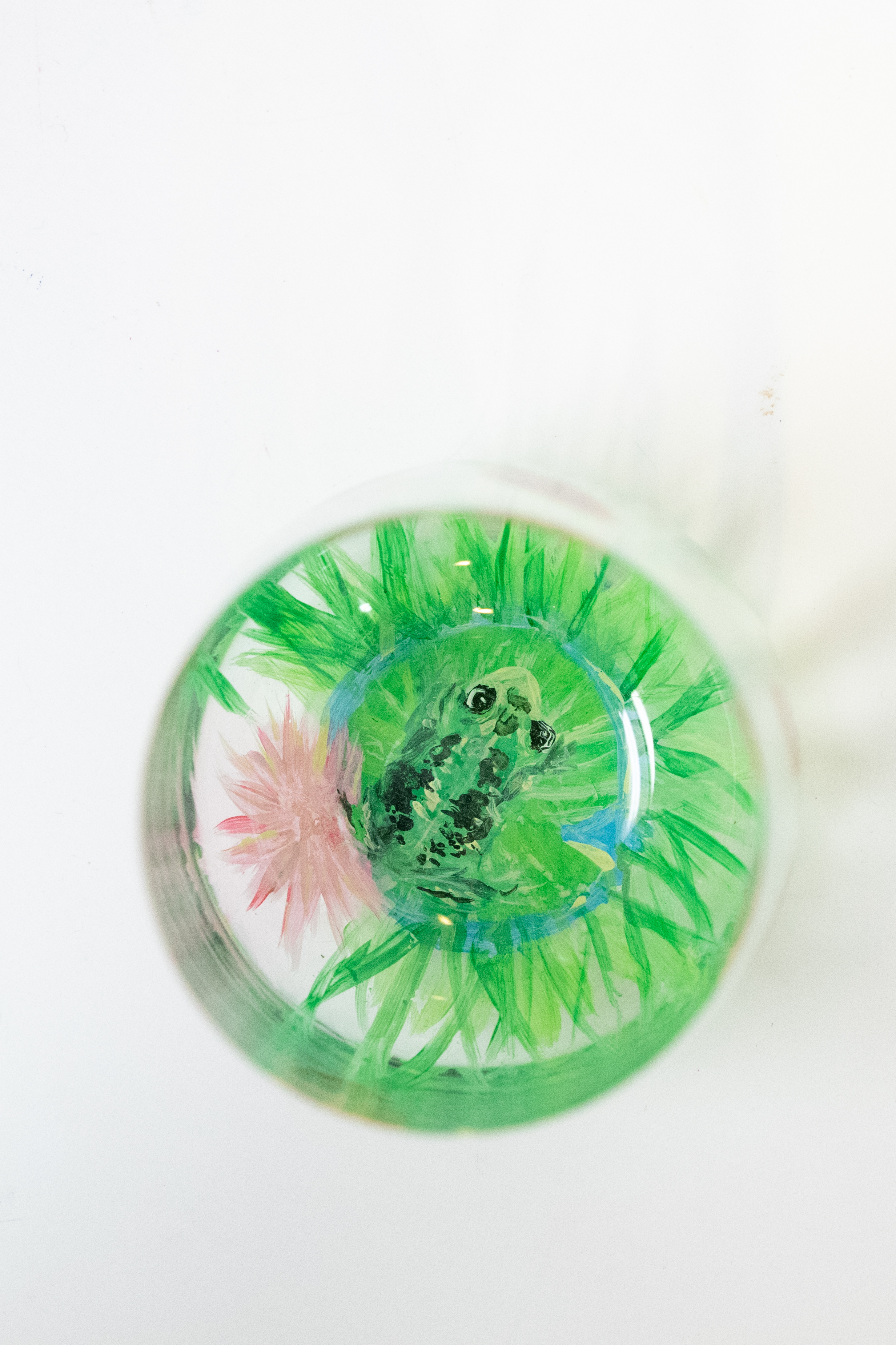Frog glass 4_1333