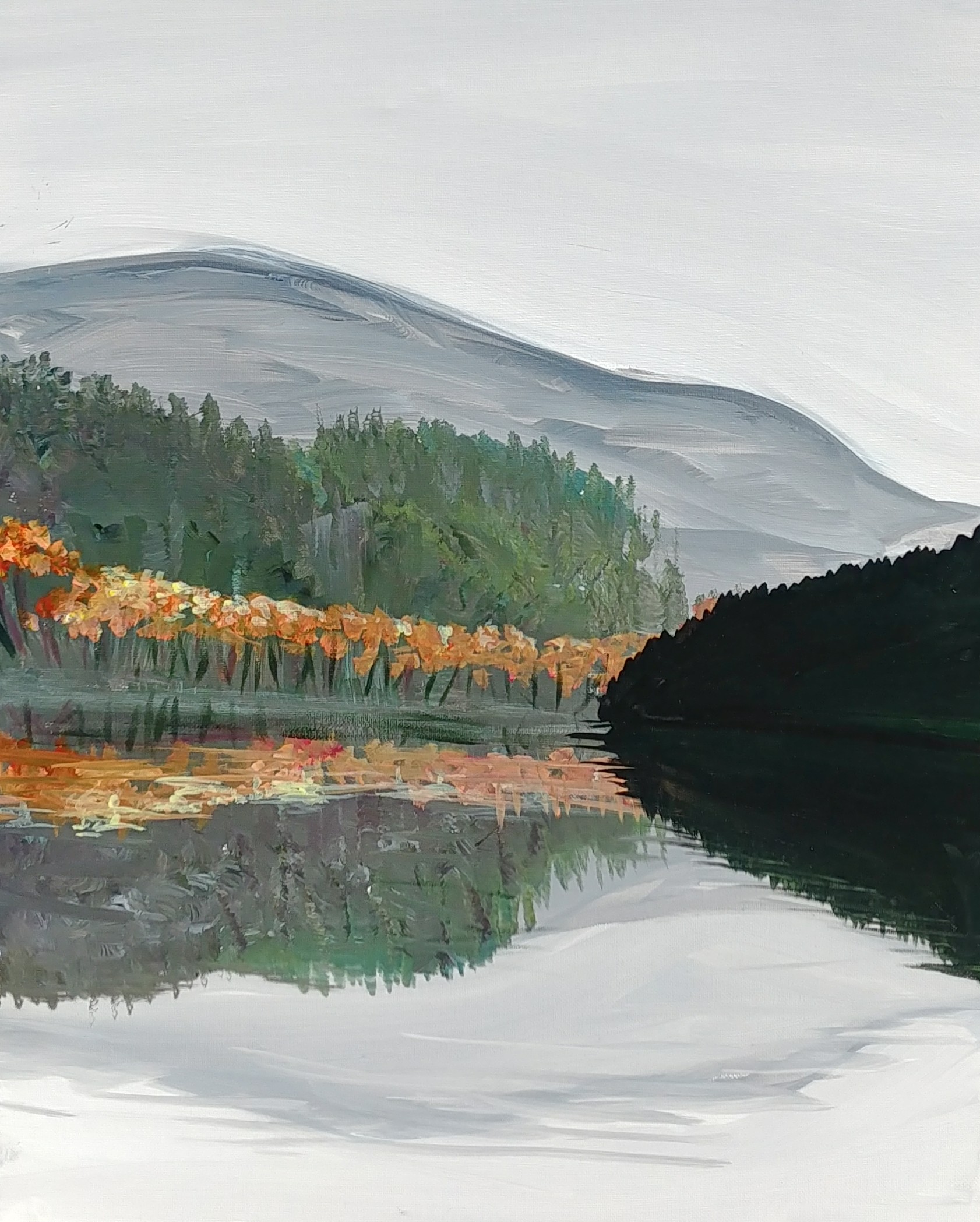 River Reflection