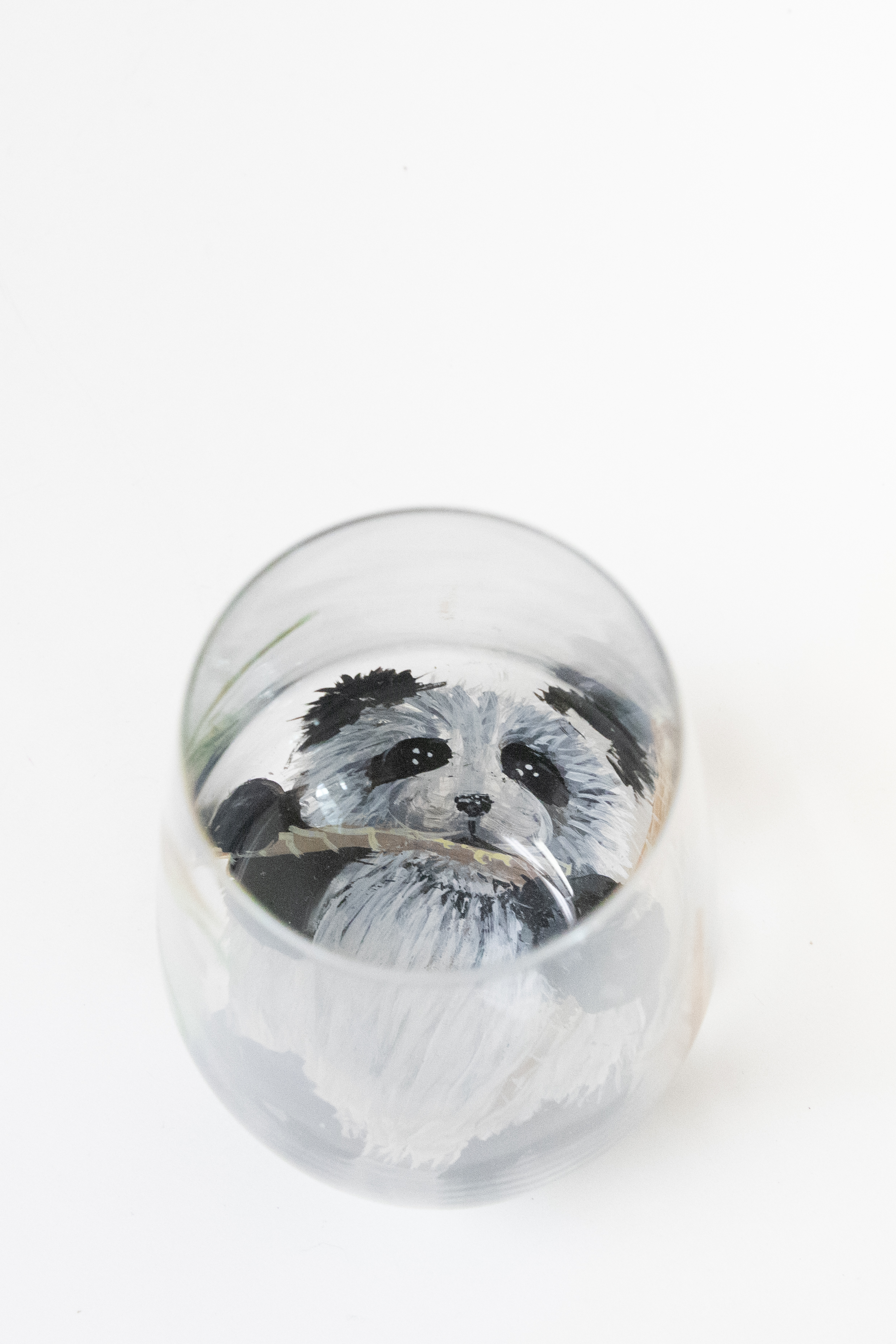 Panda 8_1347