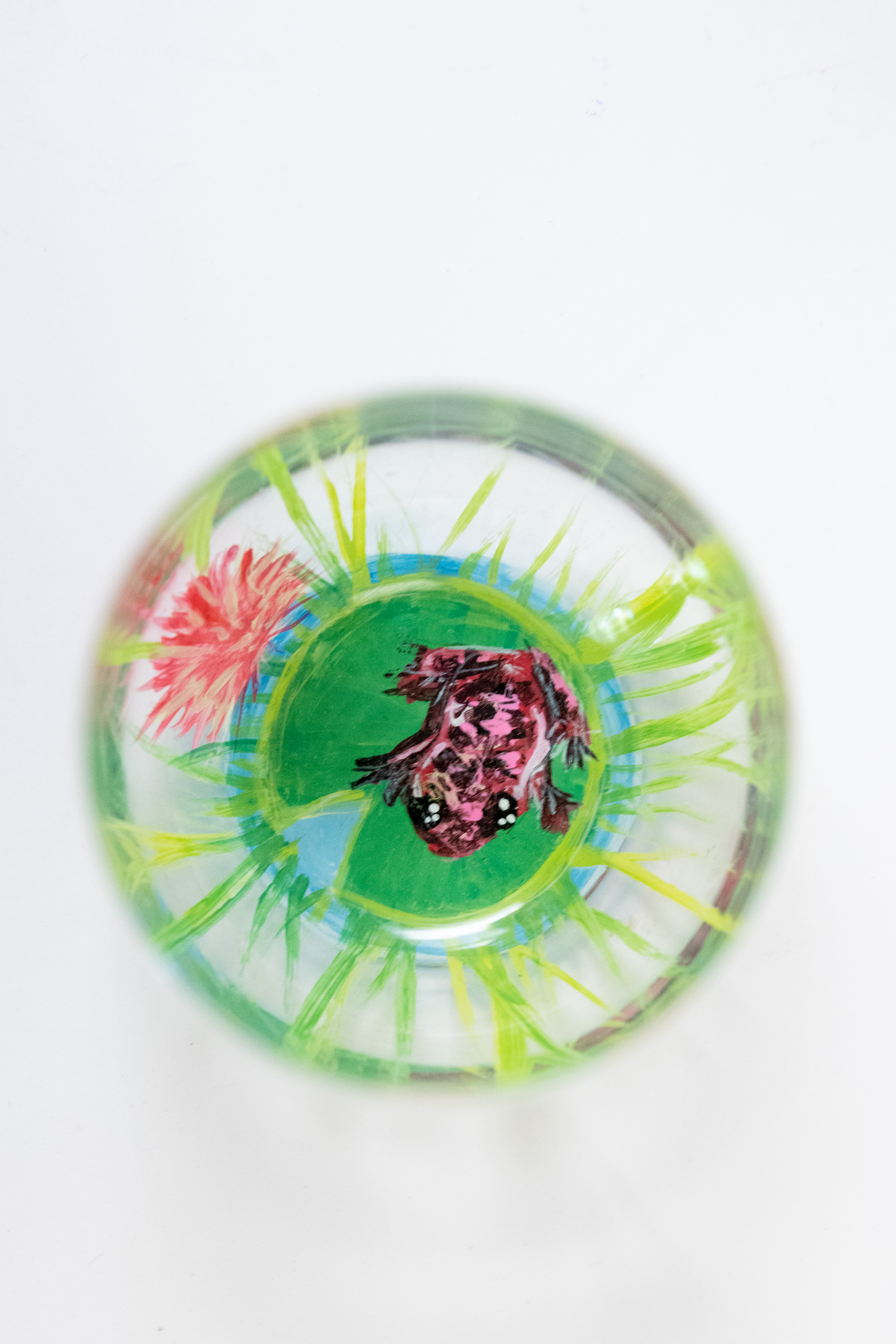 Frog 2_1302