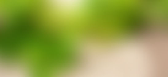 7 Adaptogenic Herbs or Adaptogens that Help Reduce Stress