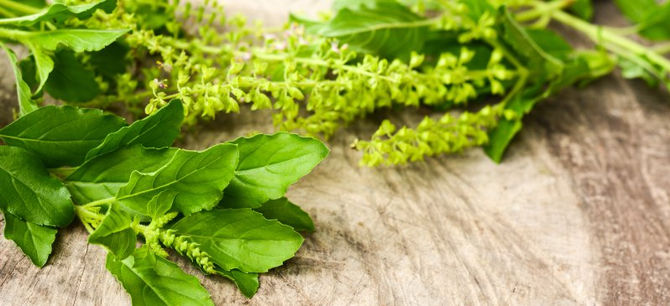 7 Adaptogenic Herbs or Adaptogens that Help Reduce Stress