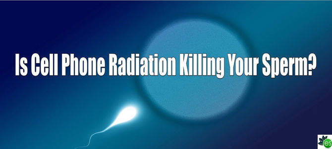 Is Radiation From Your Cell Phone Killing Your Sperm?