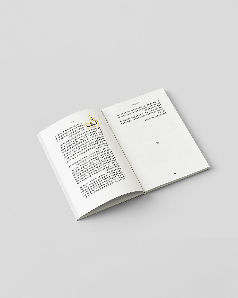 A picture of a double from the first chapter of the book.jpg