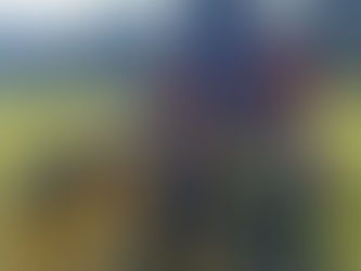 Cross Country Bezirksmeisterschaft 2025