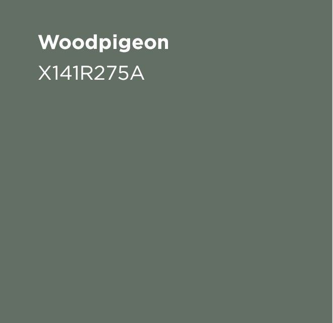 pigeon.jpg