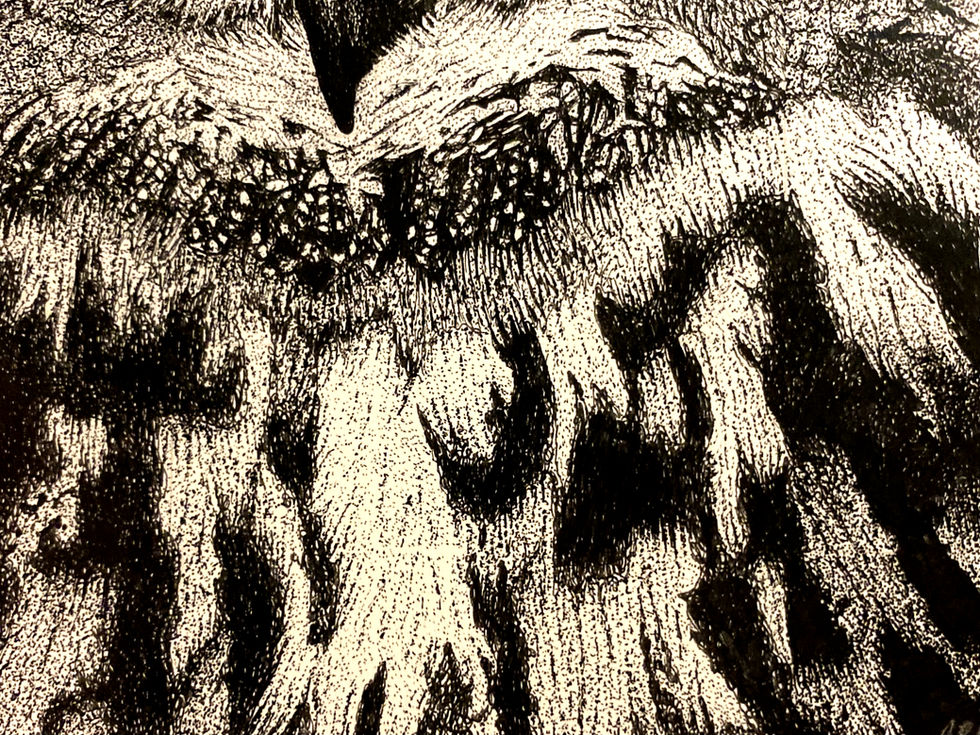 Black and white drawing of dense fur or feathers