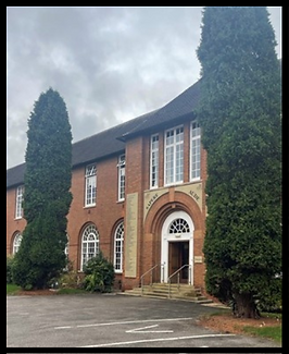 News Border (Website) (2).png