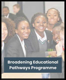 News Border (Website) (5).png