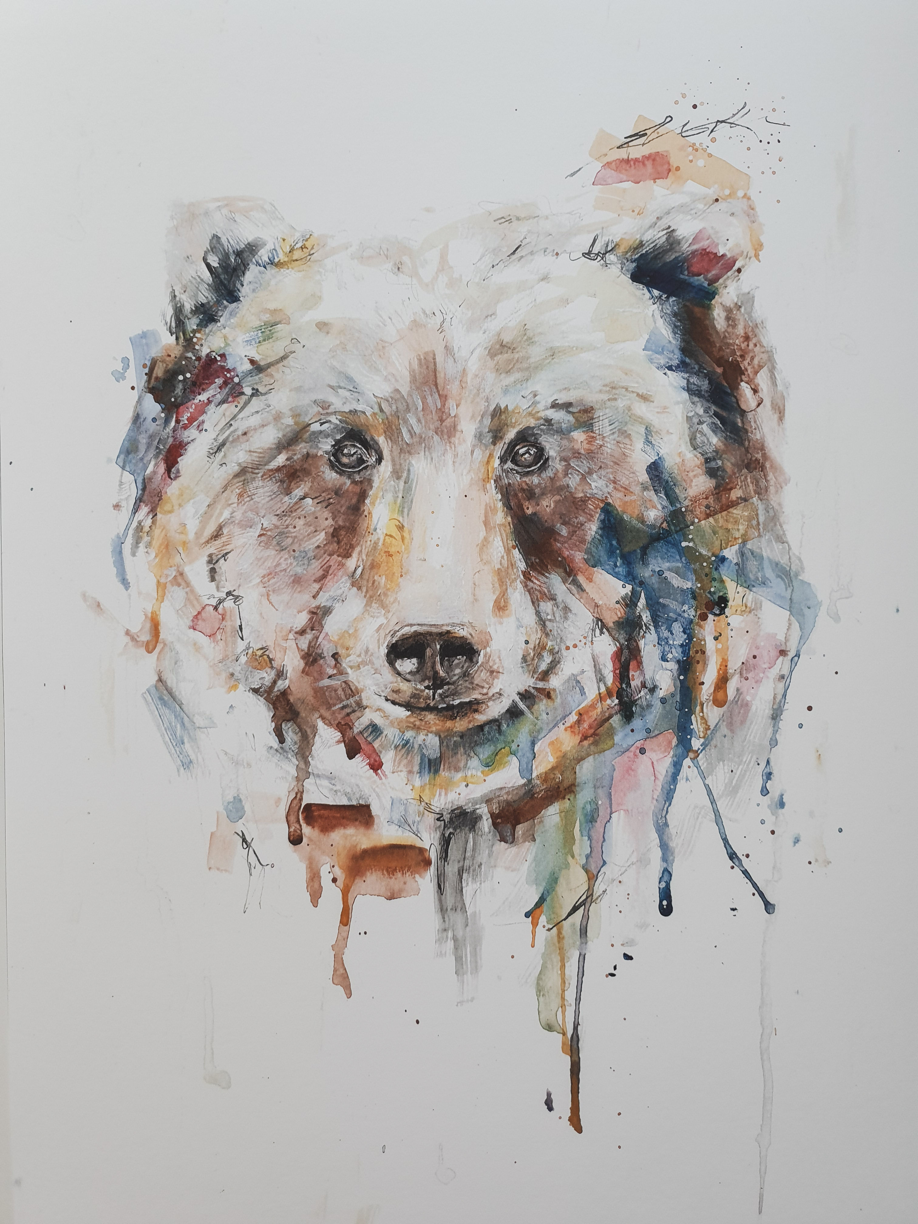 Bear - More to Life series