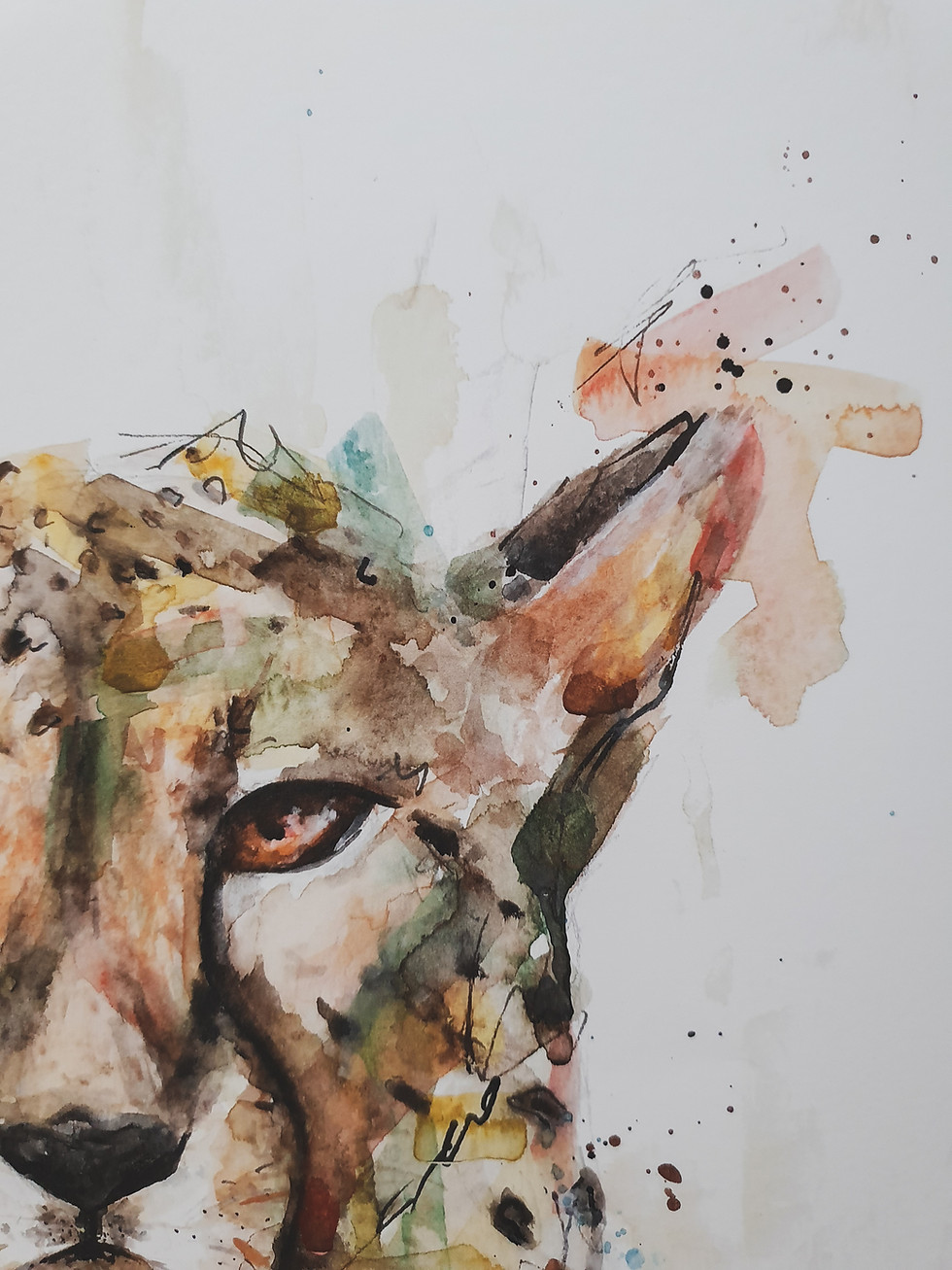 Thumbnail: Leopard - More to Life series