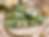 IMG_5369.png