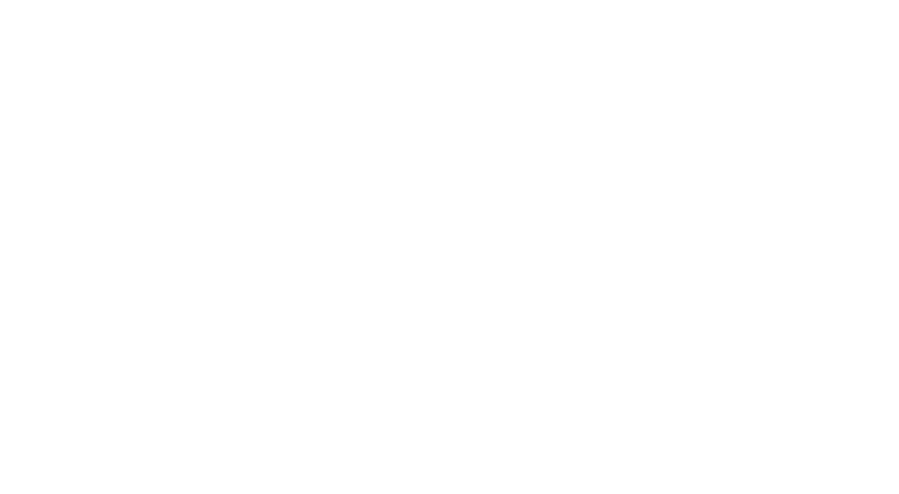 Wound Concierge Logo White