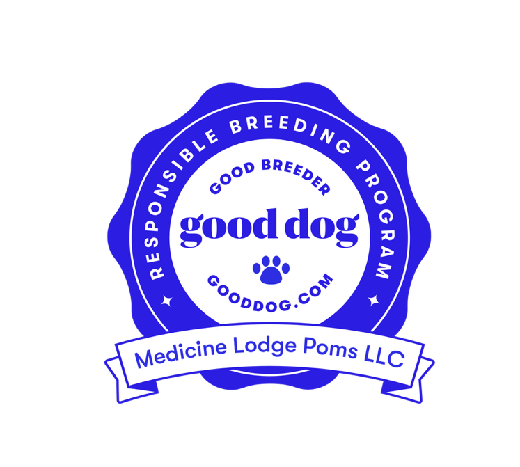 mlp-badge_edited.png