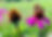 84ab206f-677c-4eb0-97df-4227b6353e1e_edited.jpg