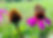 84ab206f-677c-4eb0-97df-4227b6353e1e_edited.jpg