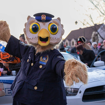 Police HIbou.jpg