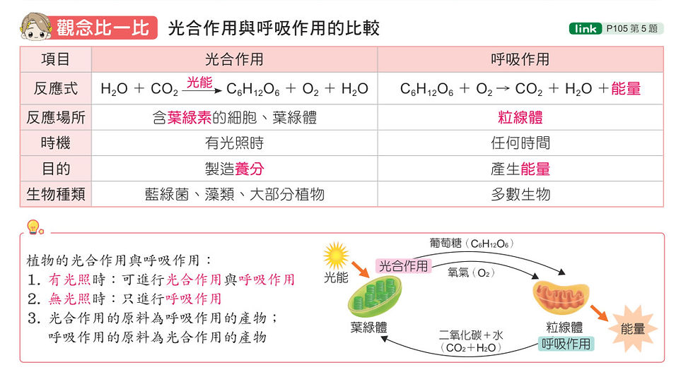 116 KO公民-內文_p95_edited.jpg