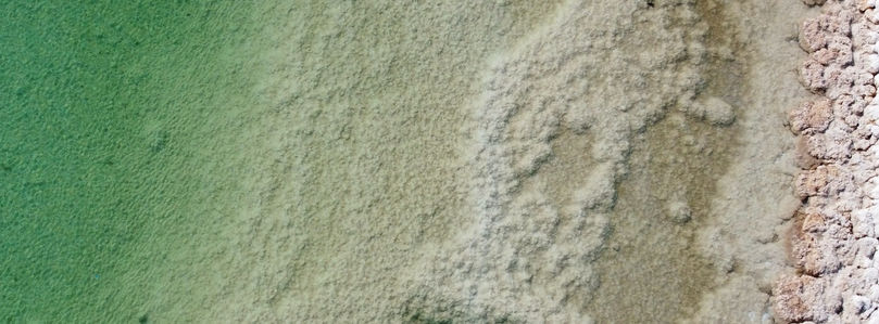 pexels-davka-13865493 (1).jpg