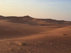 WhatsApp Image 2023-02-23 at 09.57.40.jpeg